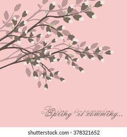 Spring is coming background tree with blossom flowers. Vector spring background. cherry blossoms on tree branches. Calligraphic frame. Place for text. Pink color