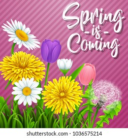 Spring is coming. Beautiful meadow flowers on striped purple background