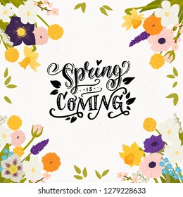 Spring Is Coming calligraphic inscription made in vector. Floral frame made of hand drawn spring flowers. Postcard, wedding invitation and merch design with handdrawn lettering.