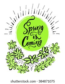 "Spring is coming" calligraphic lettering. Vector illustration, typographic design