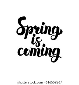 Spring is Coming Calligraphy. Vector Illustration of Ink Brush Lettering Isolated over White Background.