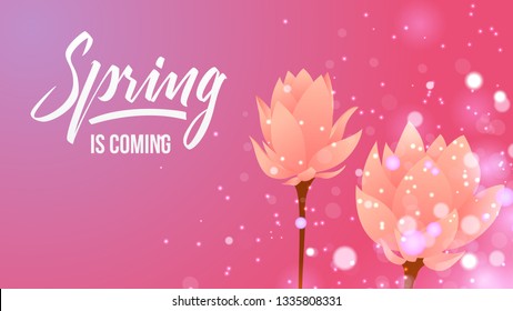 Spring is coming colorful flower  background. Vector