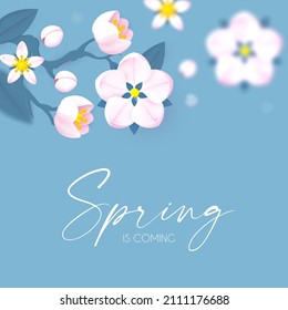 Spring is coming. Cute flower design. Apple tree and sakura blossom.