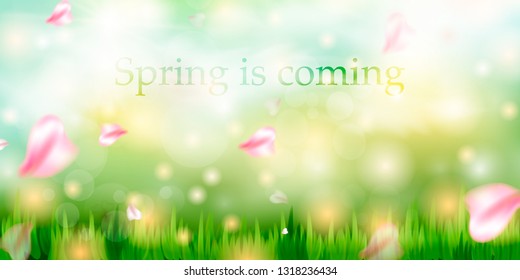 Spring is coming. Easter decoration element with spring grass and meadow flowers. 
Hello Spring background with beautiful flowers. Spring design.
