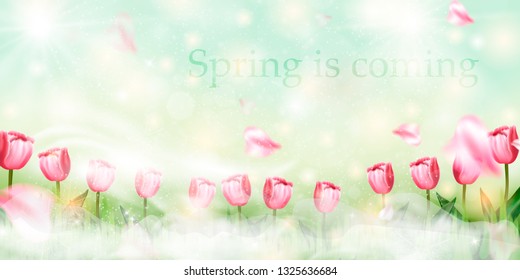 Spring is coming. Easter decoration element with spring grass and meadow flowers. 
Hello Spring background with beautiful flowers. Spring design.
