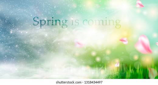 Spring is coming. spring grass and meadow flowers.
Hello Spring background with beautiful flowers and  winter background. Spring design