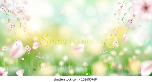 Spring is coming. spring grass and meadow flowers. Winter - spring season watercolor vector illustration. Spring design. - Vector