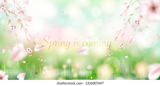 Spring is coming. spring grass and meadow flowers. Winter - spring season watercolor vector illustration. Spring design. - Vector