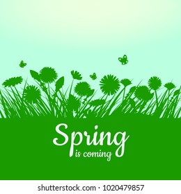 Spring is coming. Green field, flowers, sky. Camomile, grass, dandelion. Background. Vector, isolate, illustrarion, baner, flyer