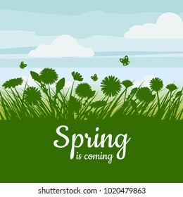 Spring is coming. Green field, flowers, sky. Camomile, grass, dandelion. Background. Vector, isolate, illustrarion, baner, flyer