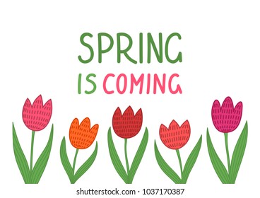 Spring is coming. Hand drawn tulips on white background. Vector illustration.