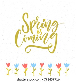 Spring is coming. Inspirational quote about spring season start. Modern calligraphy and hand drawn tulip flowers