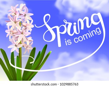 Spring coming lettering at blue sky background with white clouds . Amazing close up of blooming pink hyacinth flower. Realistic vector illustration EPS10.