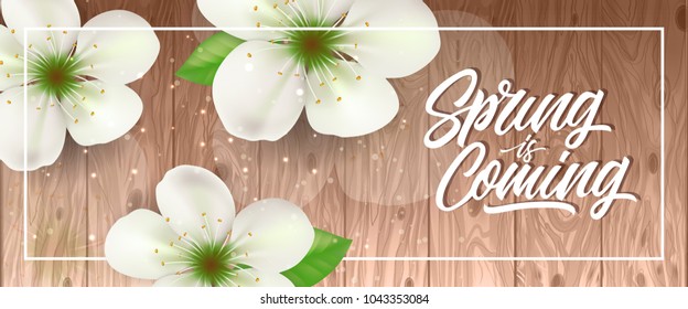 Spring is coming lettering in frame with white blossoms on wooden background with glittering. Calligraphic inscription can be used for greeting cards, postcards, posters, banners.