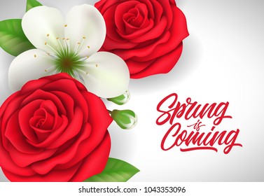 Spring is coming lettering with red roses and blossom on white background. Calligraphic inscription can be used for greeting cards, postcards, posters, banners.