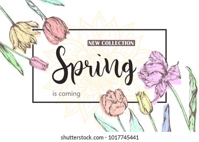 Spring is coming, new spring collection. Hand drawn flowers. Vector illustration.