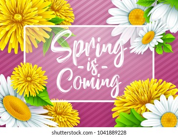 Spring is coming with rectangle frame, and flower on striped purple background