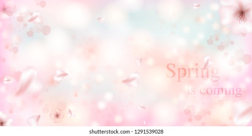 Spring is coming. Sakura petals falling down. Beautiful  Pink background with branch of cherry blossom. Vector watercolor illustration of sakura. 

