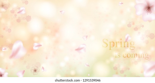 Spring is coming. Sakura petals falling down. Beautiful  Pink background with branch of cherry blossom. Vector watercolor illustration of sakura. 

