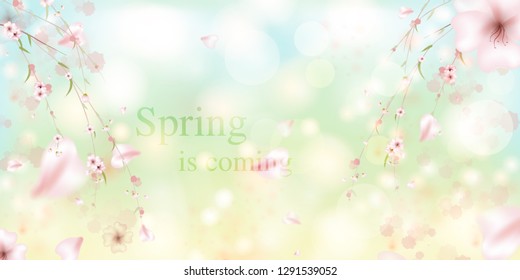 Spring is coming. Sakura petals falling down. Beautiful  Pink background with branch of cherry blossom. Vector watercolor illustration of sakura. 

