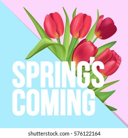 Spring is coming typographic poster with red tulips bouquet on pink and blue triangle divided background.