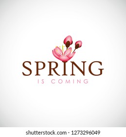 spring is coming typography with cherry blooming flowers pink petals vector illustration EPS10