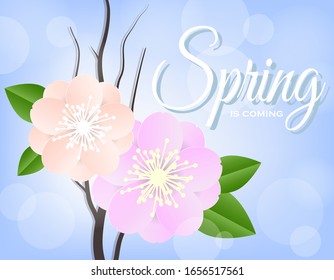 Spring is coming vector banner greetings design with colorful flower is blooming for spring season. Vector illustration. Can be used for your work.