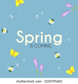 Spring is comming. Butterflies, bees, water drops and crocus flowers on a blue sky. Fresh Season background