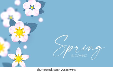 Spring is comming. Cute flower design. Apple tree and sakura blossom.