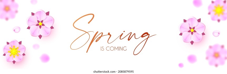 Spring is comming. Cute flower design. Apple tree and sakura blossom.