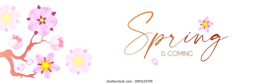 Spring is comming. Cute flower design. Apple tree and sakura blossom.