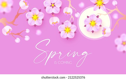 Spring is comming. Cute flower design. Apple tree and sakura blossom.