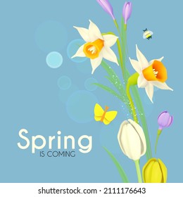 Spring is comming. Narcissus, crocus and tulip flowers with butterflies on a blue sky. Fresh Season background