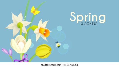 Spring is comming. Narcissus, crocus and tulip flowers with butterflies on a blue sky. Fresh Season background