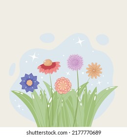 Spring composition of chamomile and marigold flowers in a clearing isolated on a white background with a blue circle. Botanical drawing for posters, packaging, websites, cards and banners