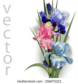 Spring composition of delicate spring flowers, irises