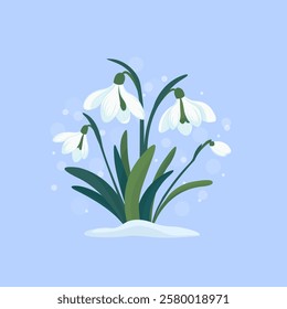 Spring composition of snowdrop flowers. Snowdrops day in flat style. Snowdrops on a blue background.