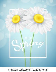 Spring concept. Chamomile in white frame banner on the background of the sun. Abstract blue bokeh lights. Calligraphic text. Hello spring phrase. Vector illustration. EPS 10