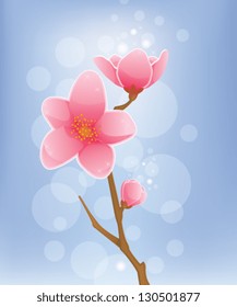 Spring Concept - Cherry Blossom (EPS 10 Vector illustration, contains transparency)