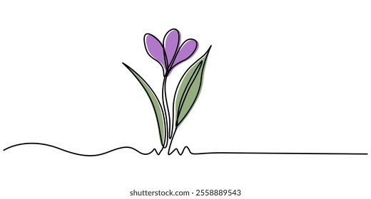 Spring crocus flower in continuous line art drawing style. Minimalist black linear sketch isolated on white background. Vector illustration, Spring crocus flower in continuous line art drawing style.