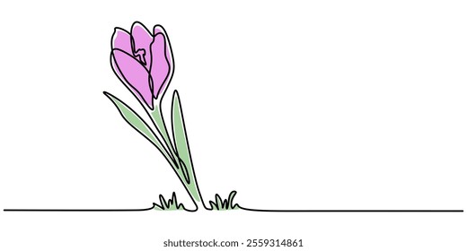 Spring crocus flower in continuous line art drawing style. Minimalist black linear sketch on white background. Vector illustration, Single continuous line drawing beauty fresh croci for home wall. 