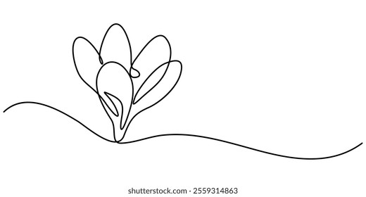 Spring crocus flower in continuous line art drawing style. Minimalist black linear sketch on white background. Vector illustration, Single continuous line drawing beauty fresh croci for home wall. 