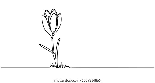 Spring crocus flower in continuous line art drawing style. Minimalist black linear sketch on white background. Vector illustration, Single continuous line drawing beauty fresh croci for home wall. 