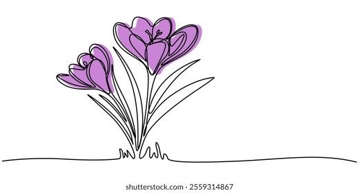 Spring crocus flower in continuous line art drawing style. Minimalist black linear sketch on white background. Vector illustration, Single continuous line drawing beauty fresh croci for home wall. 