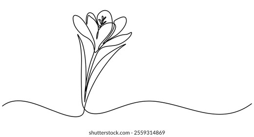 Spring crocus flower in continuous line art drawing style. Minimalist black linear sketch on white background. Vector illustration, Single continuous line drawing beauty fresh croci for home wall. 