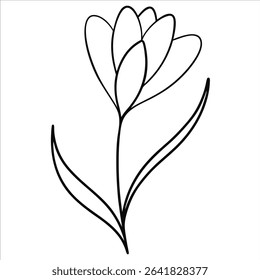 spring crocus flower in continuous line art drawing style illustrating elegant floral bloom early spring nature beauty and minimal botanical decorative artwork