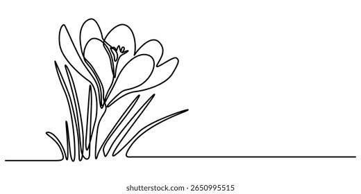  flor de croco de primavera contínua um desenho de linha, flor de croco desenhada por uma linha. Faça um esboço das primeiras flores da primavera. Desenho de linha contínua arte botânica. Design para arte de tatuagem, borda, divisor. Vetor.