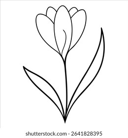 spring crocus flower depicted in continuous line art drawing showing seasonal blossom graceful plant outline and minimal nature inspired floral design for prints