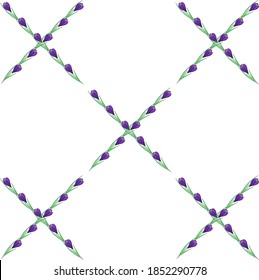 the spring Crocus flower pattern makes up circles and shapes on a white isolated background. Frame of Crocus flowers.