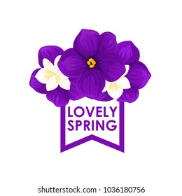 Spring crocuses bunch icon for springtime seasonal holiday or greeting card design. Vector isolated blue and white blooming violet bouquet of spring floral blossoms with ribbon